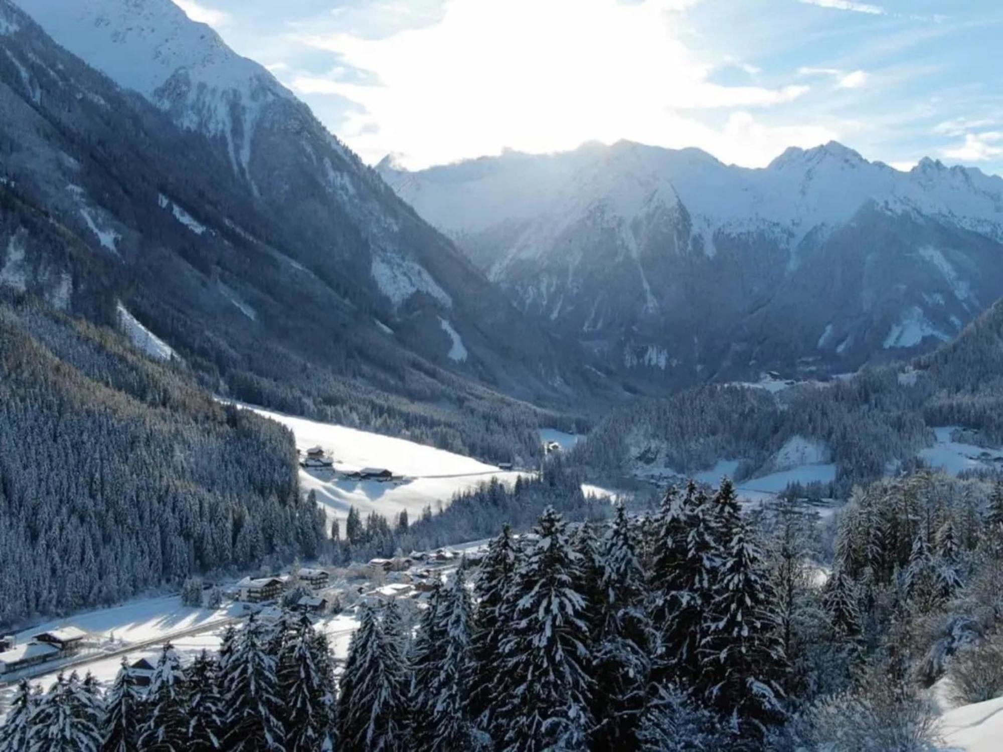 Apartment In Wald Im Pinzgau With Swimming Pool And Views المظهر الخارجي الصورة